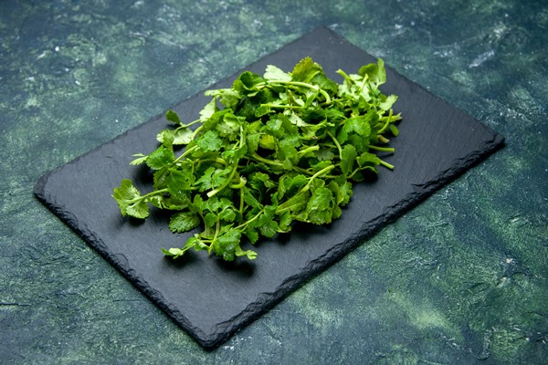 side view of coriander bundle on wooden cutting board on green black mixed colors background with free space - Монастырская кухня: суп из зелени и чинёная репа