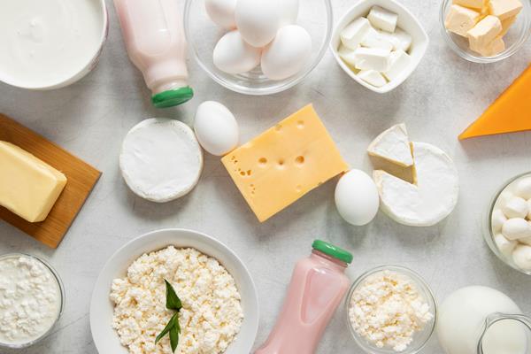 dairy products assortment above view - Особенности питания детей