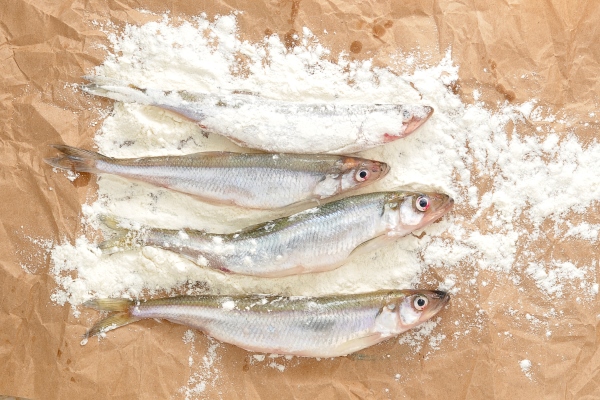 fresh european smelt fish - Корюшка маринованная