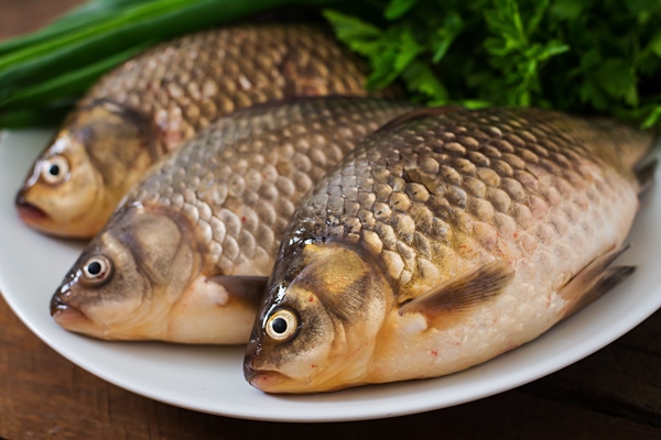 fresh raw crucian on a wooden with herbs - Икра карася жареная