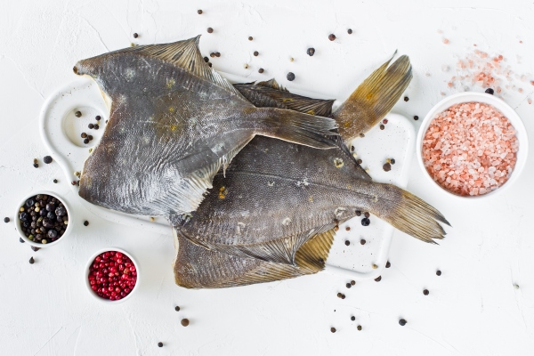 raw flounder ingredients for cooking - Разделка крупной камбалы, палтуса