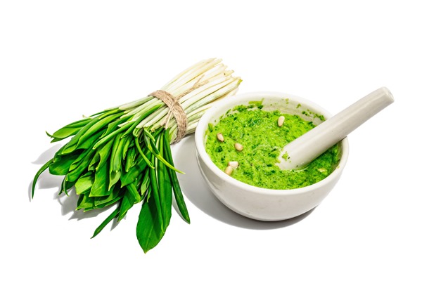 ramson pesto with olive oil parmesan and pine nuts isolated on white background - Песто с черемшой