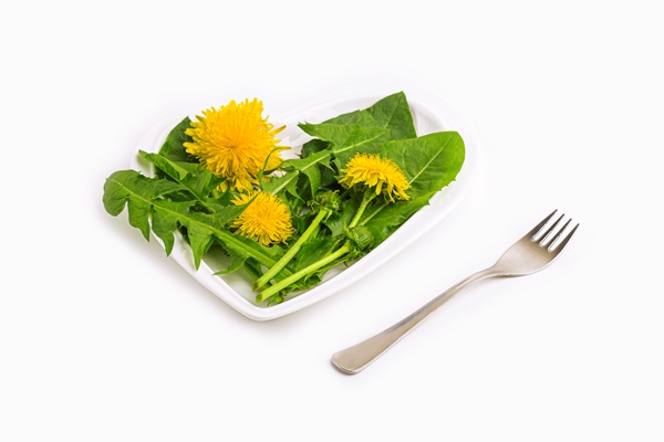 spring fresh green salad with dandelions and edible flowers on a heart shaped plate - Салат из одуванчиков с огурцами и морковью