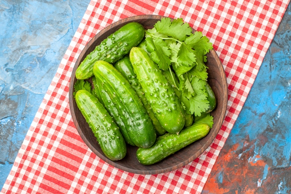 top view fresh cucumbers inside plate on blue background health photo ripe meal color salad food diet - Салат из одуванчиков с огурцами и морковью