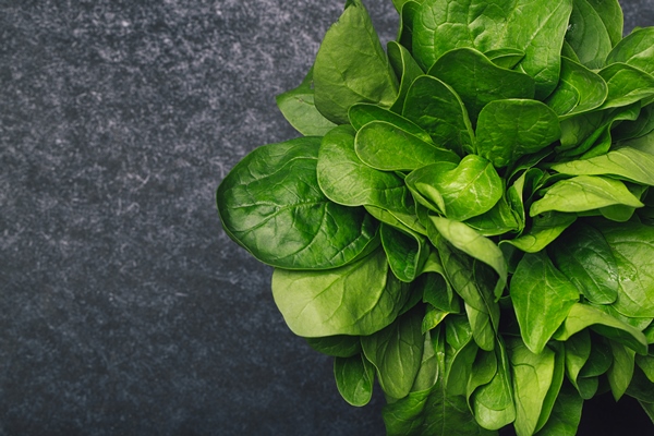 fresh spinach on a dark background - Равиоли со шпинатом, рикоттой и перепелиными яйцами