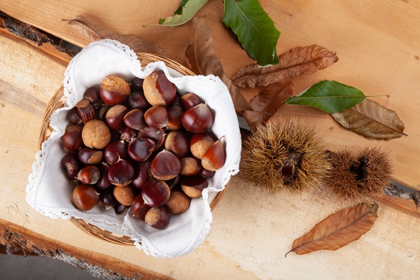 a handful of seasonal chestnuts and their hedgehog on a wooden board with bark with autumn leaves - Сливочный крем-суп из каштанов (старинный рецепт)