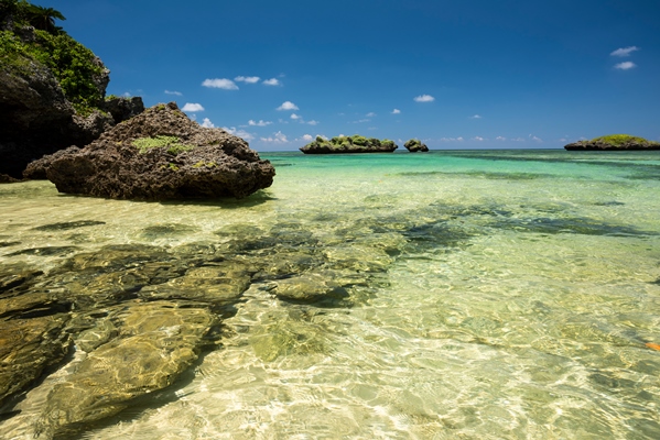 clear water sea with a refreshing natural sea pool on hoshizuna beach iriomote island yaeyama okinawa japan - Съедобные водоросли