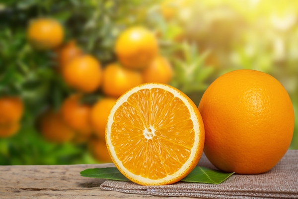 orange from the garden - Каштановый крем