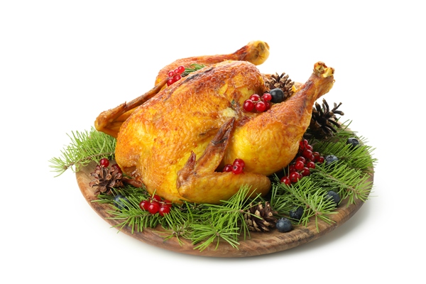 christmas roast turkey isolated on white background - Луковый взвар