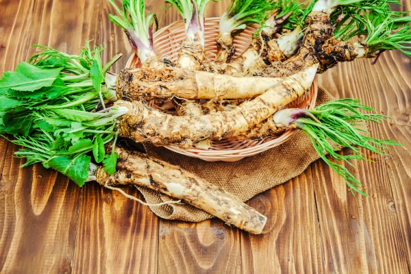 roots of young horseradish on a wooden background - Русский столовый хрен