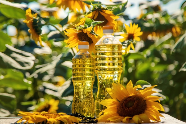 sunflower oil in a bottle on the field selective focus nature - Заправка в квашеную капусту