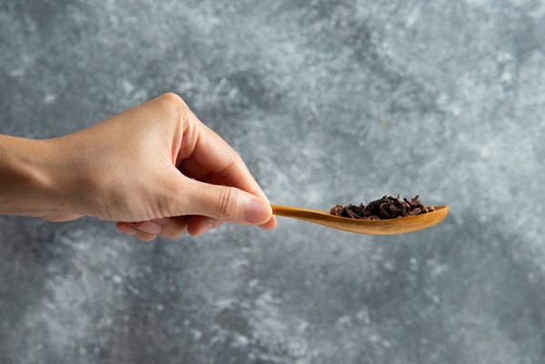 hand holding a wooden spoon with dried cloves - Французский соус "Борделез"