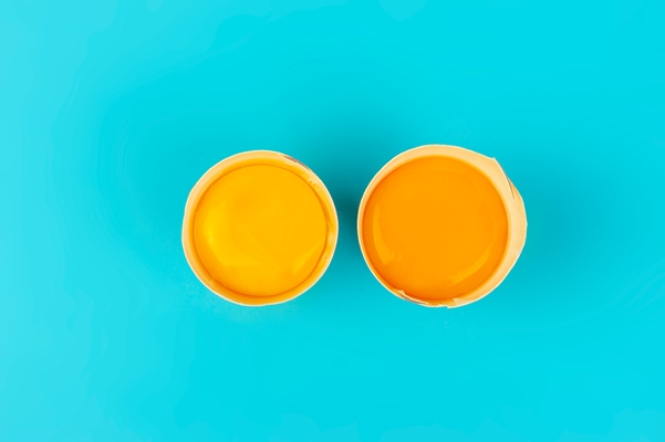 two fresh raw chicken egg yolks in broken shells - Беарнский соус (беарнез)
