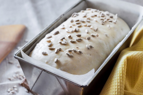 raw yeast dough in tin form ready for baking bread with sunflower seeds - Хлеб из цельнозерновой муки