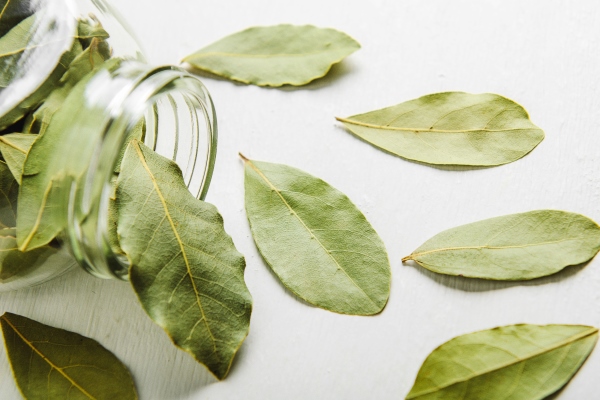 dried laurel leaves on white scattered from a glass jar for spices - Мясной пасхальный стол: кролик, тушённый в сметане