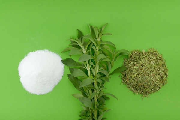 stevia rebaudiana stevia fresh herb twigs dry shredded stevia and white powder on bright green - Диетическая творожная пасха