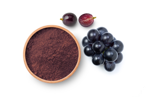 top view of grape powder and fresh red grapes on white - Консервирование пищевых продуктов