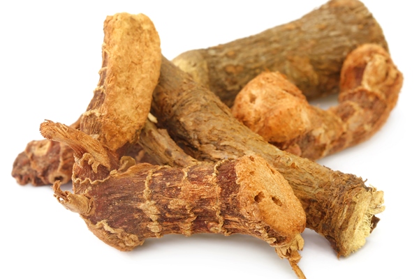 acorus calamus or medicinal sweet flag over white background - Кулинарное использование аира болотного