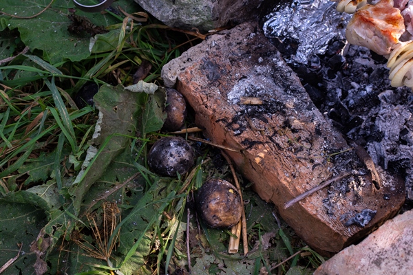 baking potatoes in coals from the fire cooking on a hike - Картофель, запечённый на углях