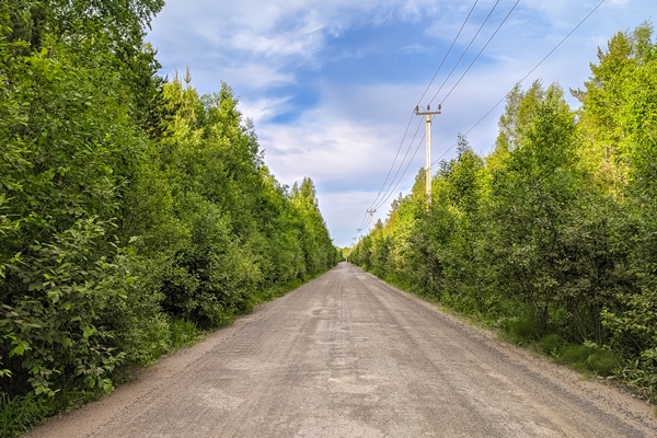 beautiful gravel road in saint petersburg suburbs - Использование в пищу огородной и дикорастущей зелени