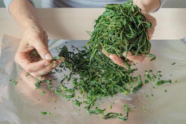 fermentation process of tea leaves manual production koporye tea ivan tea - Иван-чай