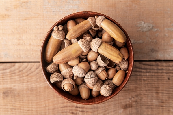 flat lay of acorns in bowl - Мука (крупа) из жёлудей