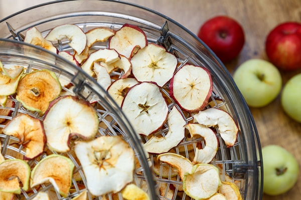 fresh dryed apple chips prepared in a home fruit and vegetable dryer healthy food concept - Подготовка к многодневному походу