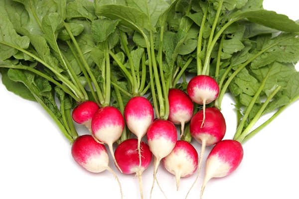 fresh radishes on a plate - Использование в пищу огородной и дикорастущей зелени