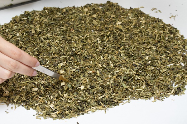 sample collection with pincent from pile of green natural leafs - Использование в пищу огородной и дикорастущей зелени