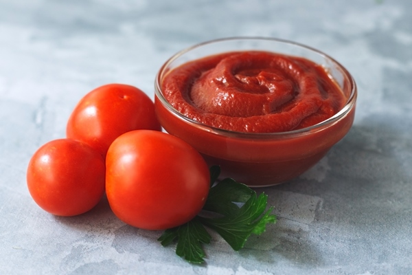 tomato paste with fresh tomatoes on gray background - Омлет "Туристический"