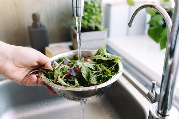 woman washing green salad leaves for salad in kitchen in sink under running water - Использование в пищу огородной и дикорастущей зелени