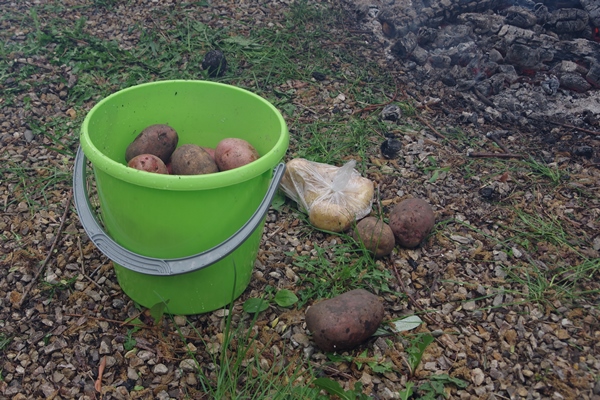 freshly harvested organic potatoes in a green plastic bucket cooking potatoes at the stake in a camping trip hiking - Шурпа "Туристическая"