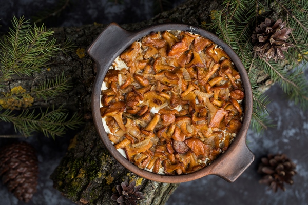 chanterelles in sour cream baked in a ceramic dish - Сбор, заготовка и переработка дикорастущих плодов, ягод и грибов