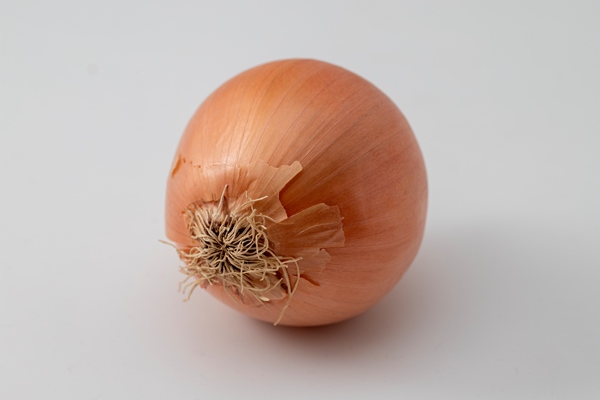 closeup onion on a white background - Суп "Шашлычный" на костре