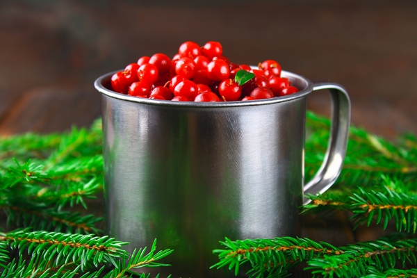 cowberry foxberry cranberry lingonberry in an aluminum mug on a brown wooden table - Мочёная брусника