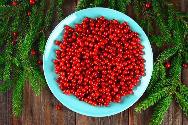 cowberry foxberry cranberry lingonberry on a blue ceramic dish on a brown wooden table - Мочёная брусника