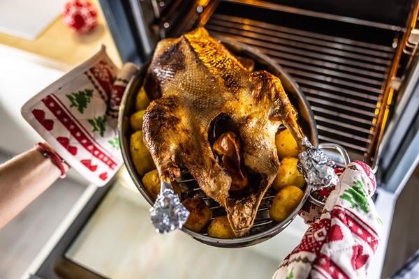 Готовим гуся в тандыре – рецепты и советы по приготовлению