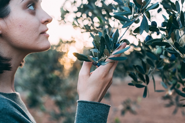 portrait of charming lady in summer resort outfit posing next to olive tree - Использование оливок в кулинарии