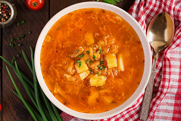 traditional russian soup with cabbage sauerkraut soup shchi top view - Супы: срок годности