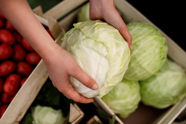 Солянка из капусты с индюшкой и салом по-деревенски : Вторые блюда