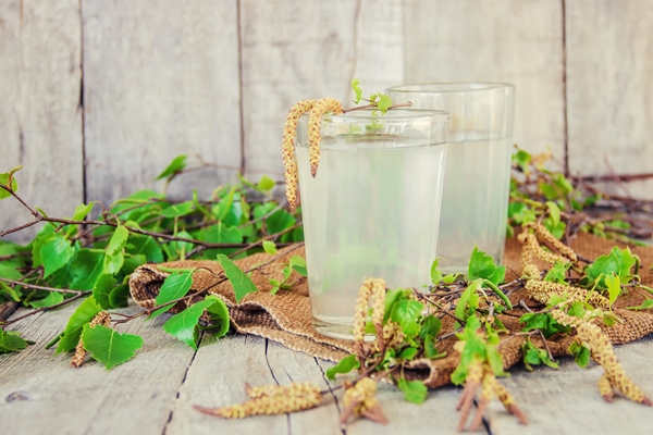 birch sap glass selective focus - Правила и сроки сбора берёзового сока