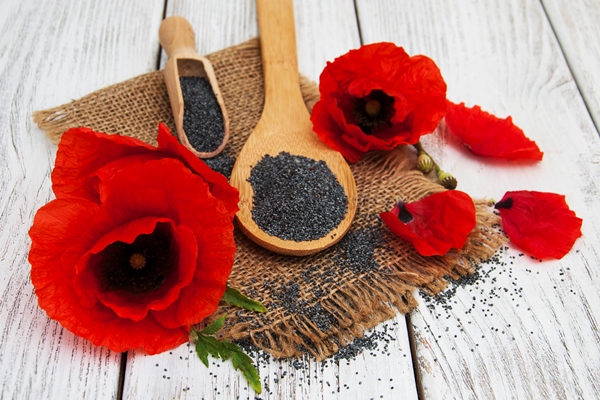 poppy seeds flowers 1 - Маковая начинка