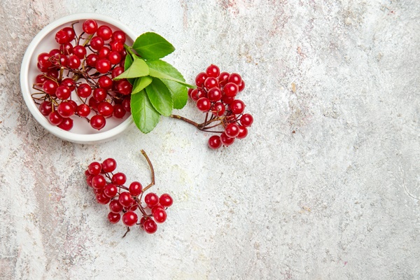 top view red cranberries fresh fruits white table fresh berry red fruit - Калина в меду