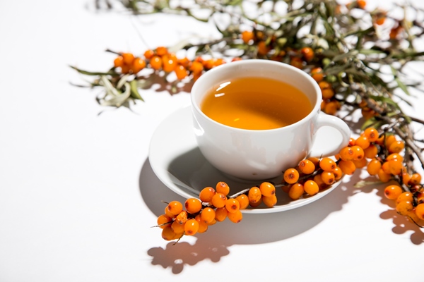 sea buckthorn tea sea buckthorn 1 - Чай с облепихой