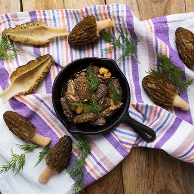 Сморчки и строчки: чем отличаются, как приготовить
