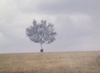 Кадр из фильма Тео Ангелопулоса «Пейзаж в тумане» (1988)